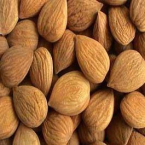 臨安市株柳食品廠代理代辦服務(wù)指南